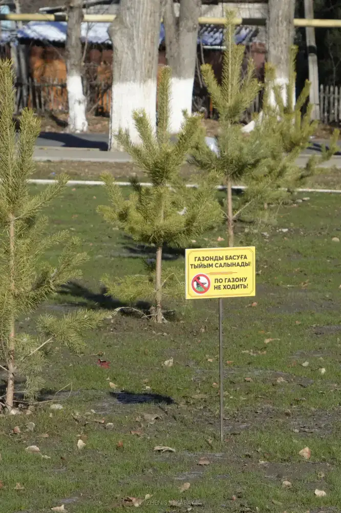 «Таза Қазақстан»: построен новый парк в селе Карабулак области Жетісу (10)