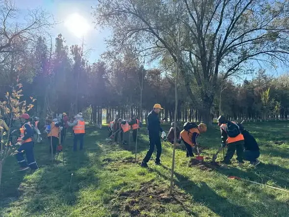 Саженцы деревьев высажены в Аксукенте Астане