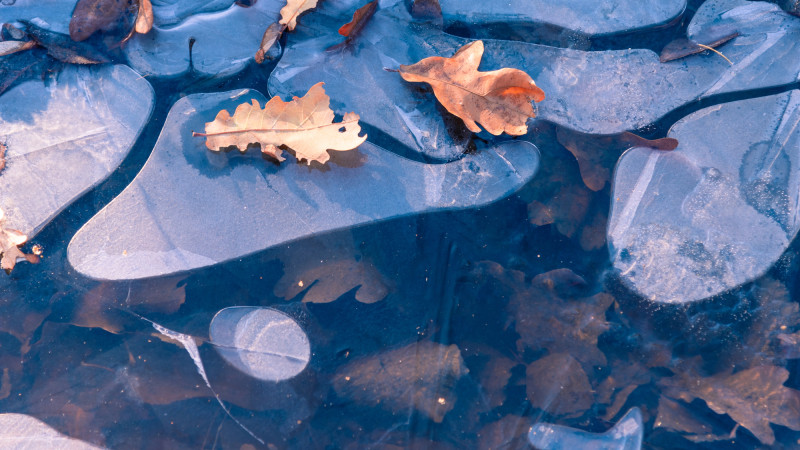 Погода в Алматы и Астане: заморозки и снегопады 5, 6, 7 ноября Астане