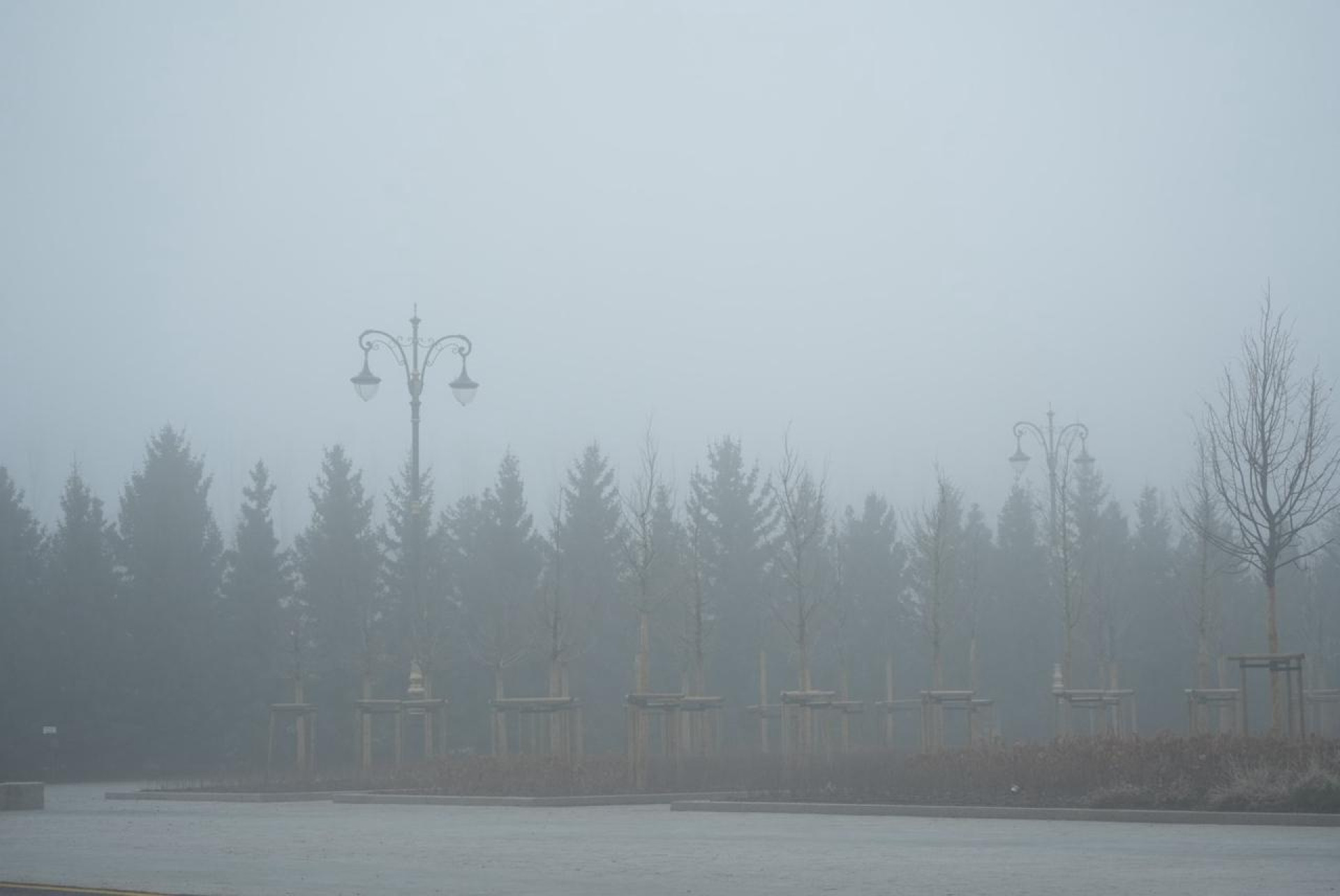 Туман в Астане