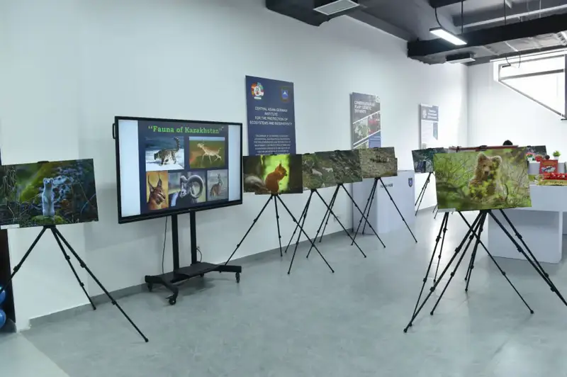 Новый импульс экологии: в КазНУ открылся институт по сохранению биоразнообразия (4)