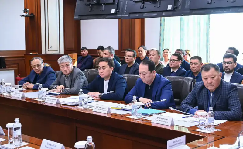 Контроль за выполнением поручений: влияние на стабильность цен и газоснабжение Астане