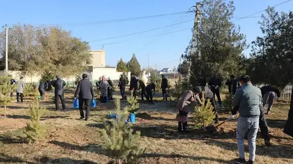 Global Efforts in Tree Planting: Arys City Demonstrates Community Unity and Environmental Responsibility Астане