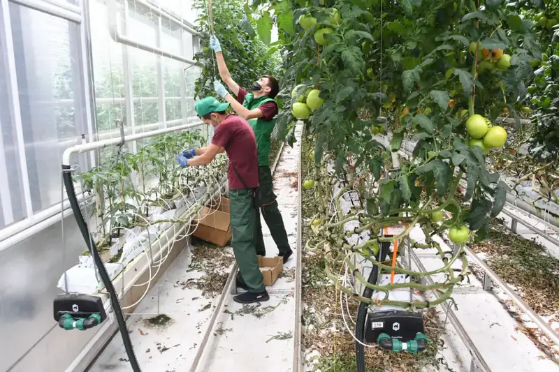 Ауэзовский район Алматы демонстрирует уверенный рост экономики (2)