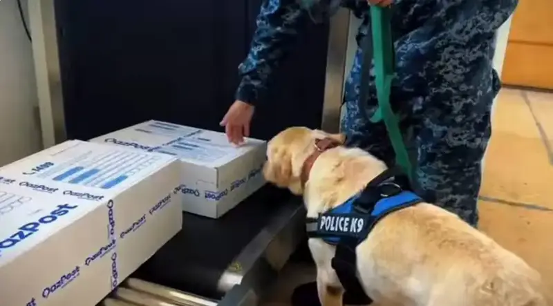 238 наркопреступлений за 10 месяцев в ЗКО Астане