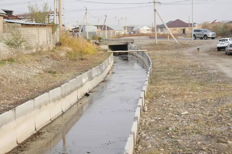 Три проекта по капитальной реконструкции ирригационных систем реализуются в Жамбылской области (10)