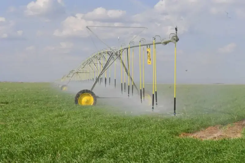 Туркестанская область: рост урожайности в агросекторе Астане