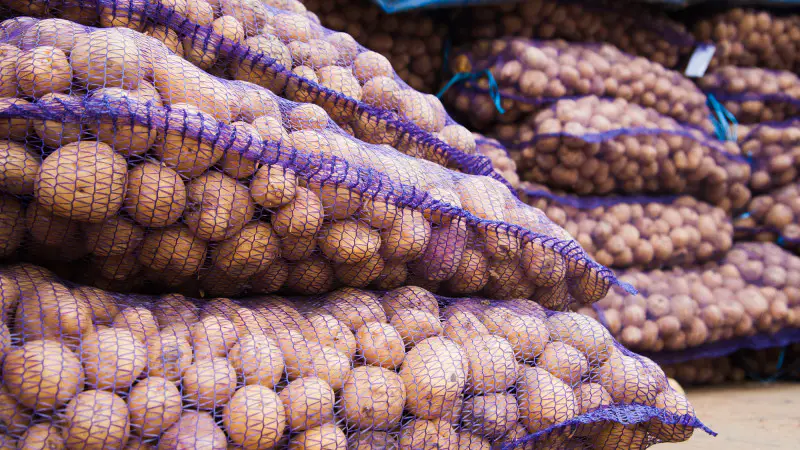 Вице-премьер Жумангарин: Картофель не дорогой, комментарий о подорожании Астане