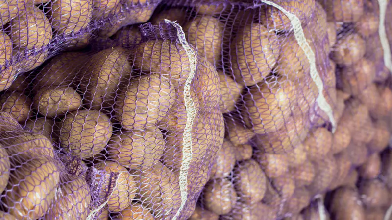 Рост цен на картофель: объяснение министра сельского хозяйства Айдарбека Сапарова Астане