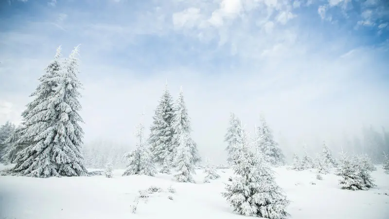 Циклон принесет снег в Казахстан: прогноз погоды на 8-10 ноября Астане
