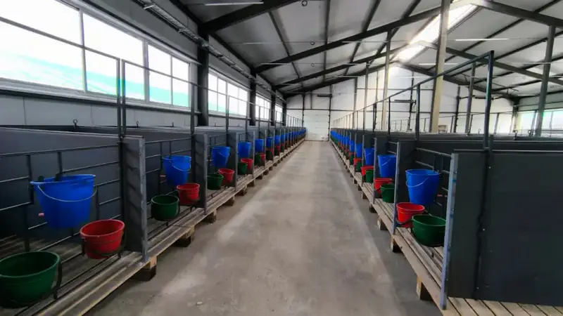 Костанайская область: молочный источник на 1200 голов готов к бурному росту Астане