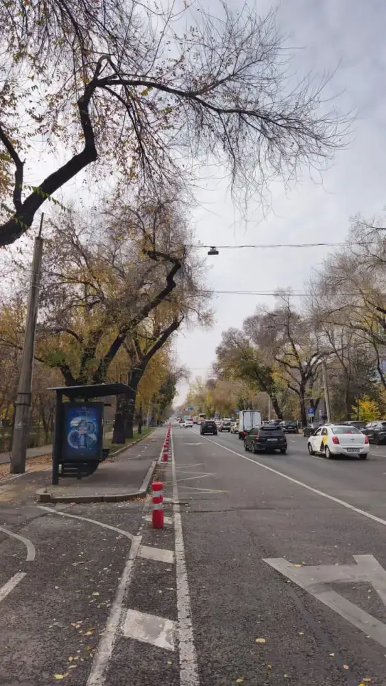 В Алматы начался демонтаж боллардов для зимней уборки дорог, обеспечивая сохранность велосипедной инфраструктуры Астане