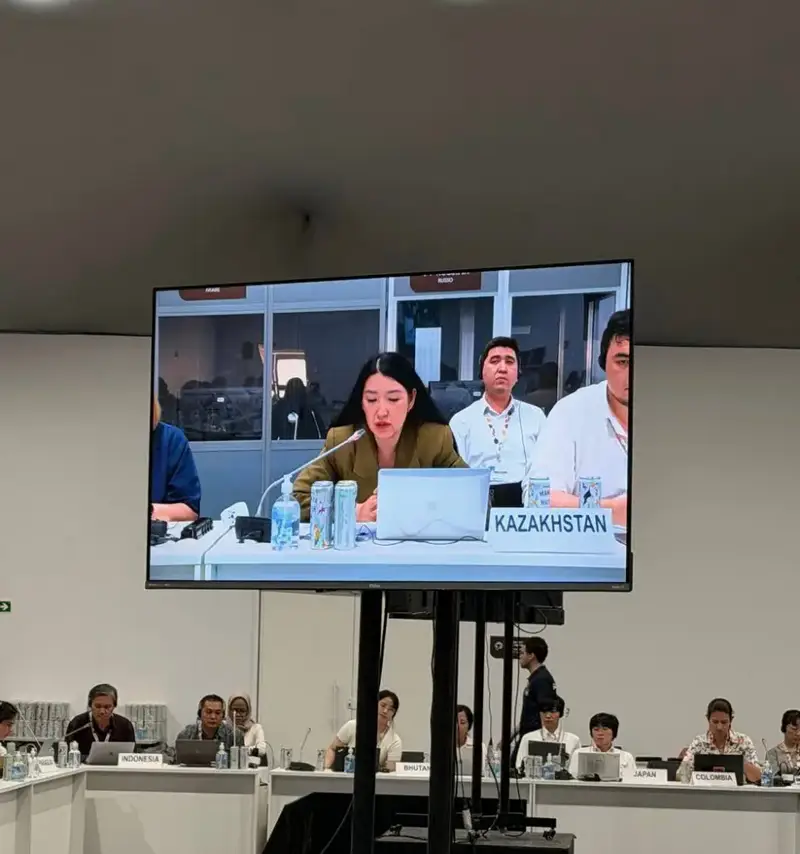 Казахстан: Прогресс в климате под многогранным взглядом Астане