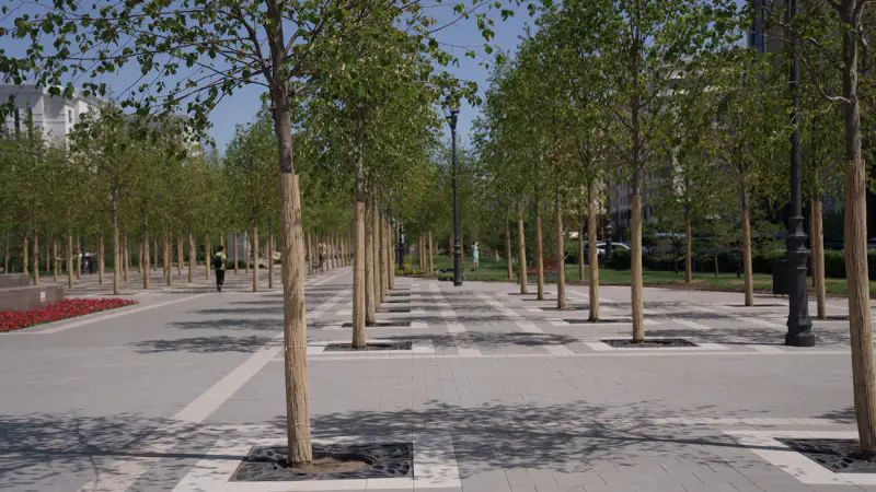 В Астане стоимость импортной липы сопоставима с полугодовой минимальной пенсией казахстанцев, заявляет депутат маслихата Владислав Сергеев Астане