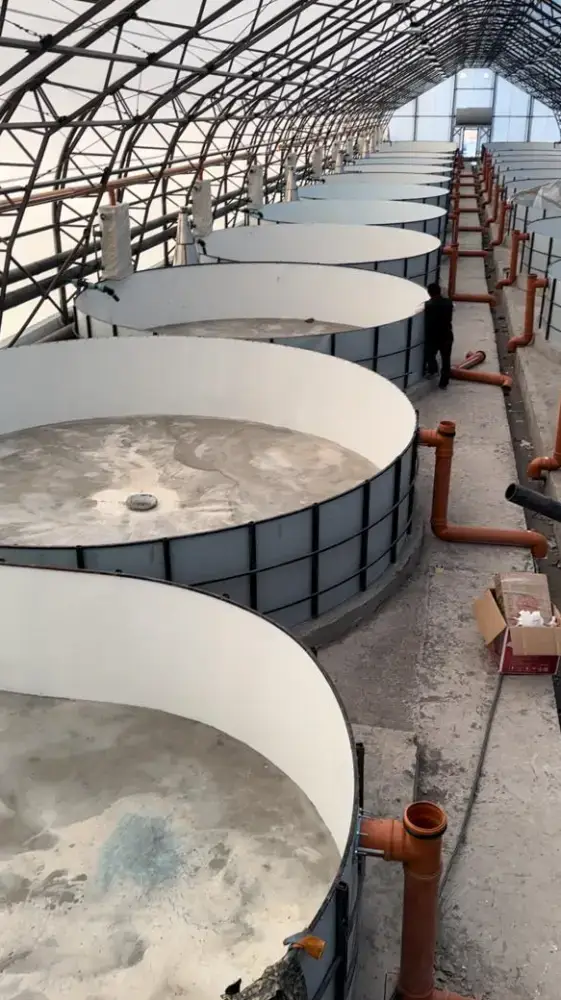 Рыбный бизнес: 348 млн тенге в Восточном Казахстане! Астане