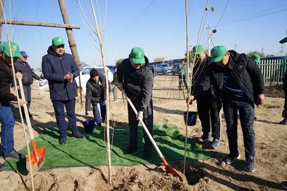 ТУРКЕСТАН: ЛЕСНАЯ СИМФОНИЯ В КАЗЫГУРТЕ — 5000 ДЕРЕВЬЕВ ЗАЗЕЛЕНЕЛИ В РАМКАХ «ТАЗА ҚАЗАҚСТАН» Астане