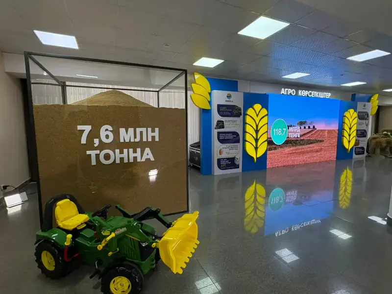 Лучшие предприниматели Акмолинской области представили продукцию на выставке, посвященной Дню сельхозработников (5)