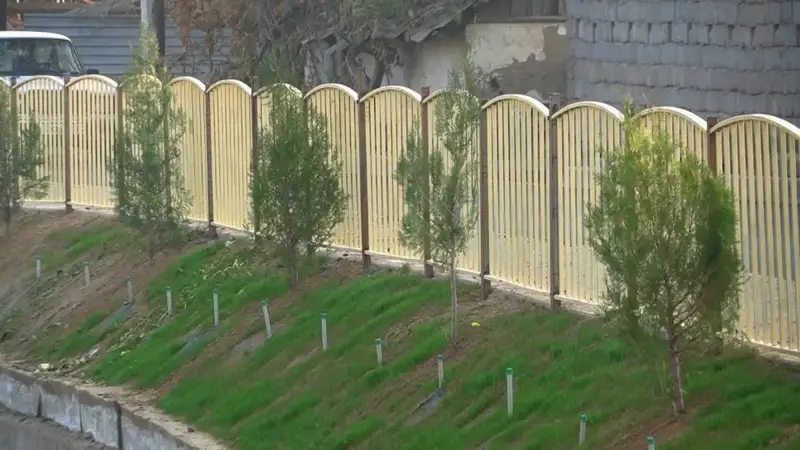 Осенняя акция по посадке деревьев в Келесе Астане