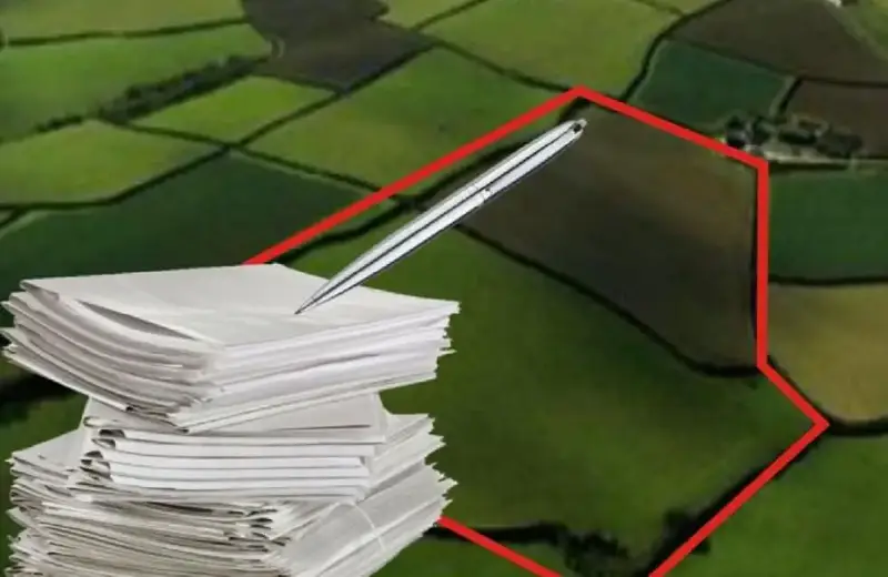 Земельные тайны: кто осваивает участок без прав? Астане