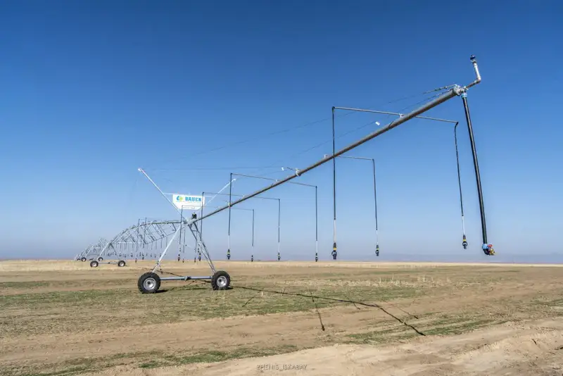 Аграрии Жетісу реализуют проект по выращиванию кормов, используя влагосберегающие технологии (8)