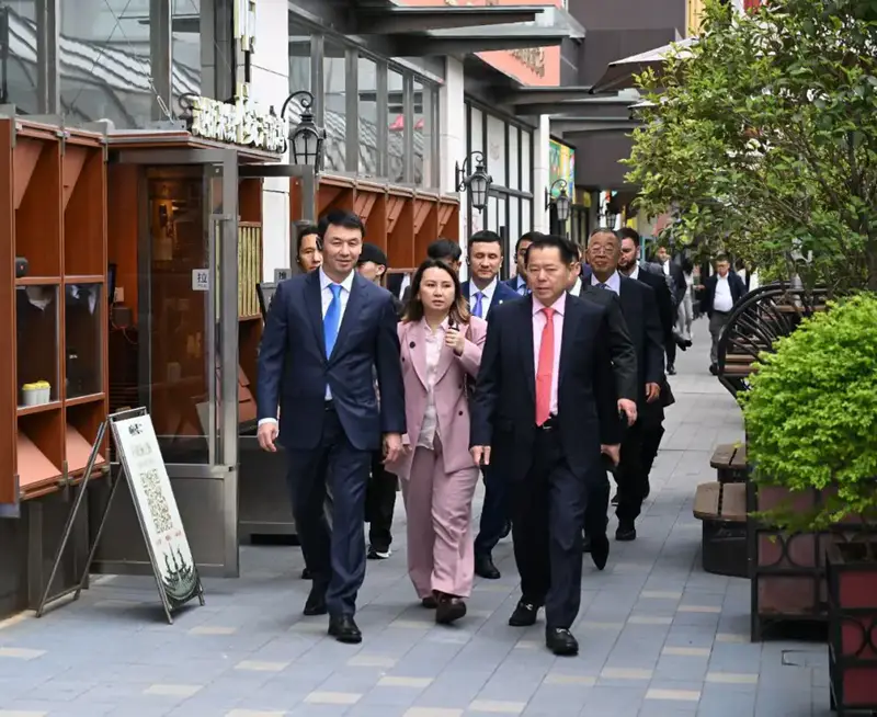 Дархан Сатыбалды обсудил перспективы сотрудничества с китайской корпорацией Yuexing Group (6)