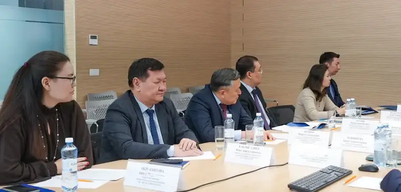 В МИД РК обсудили привлечение инвестиций и развитие проектов в Костанайской области (2)