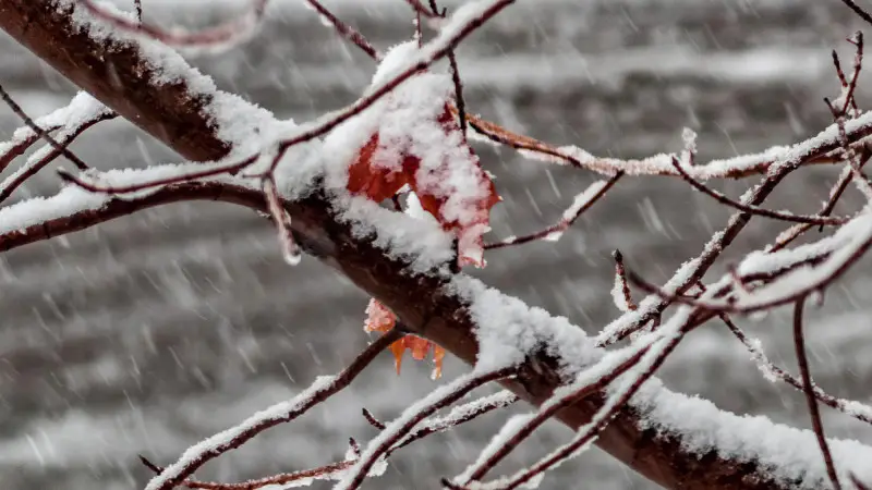 Казахстан в снежном плену: зима стучится в двери с метелями и морозами с 2 по 5 ноября Астане
