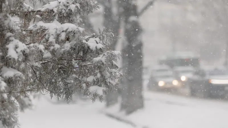 Метель накроет Казахстан: синоптики прогнозируют ухудшение погоды на 4-6 ноября Астане
