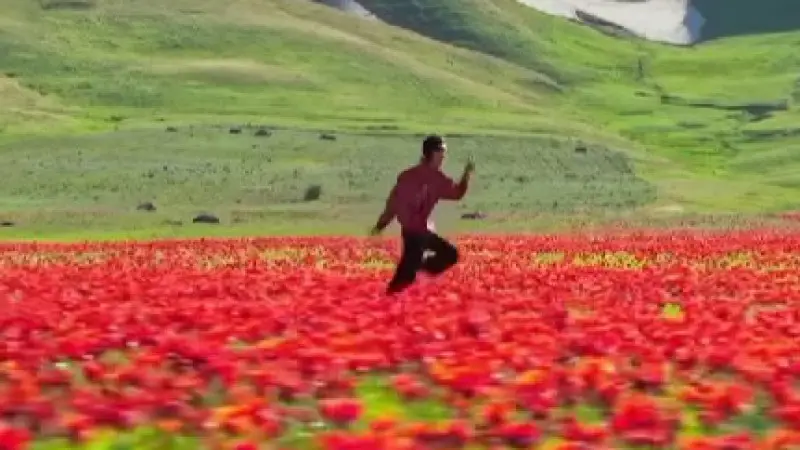 Instagram представил Казахстан миру: видео с живописными пейзажами страны завоевало внимание пользователей Астане