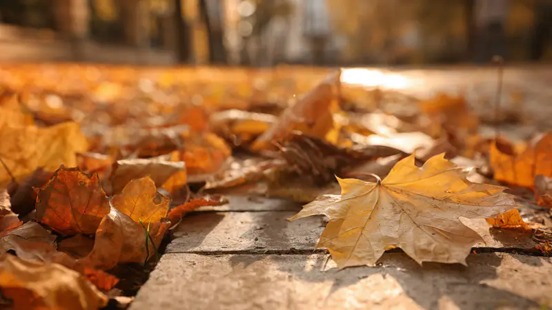 Теплая осень в Казахстане: прогноз погоды на 25-27 ноября Астане