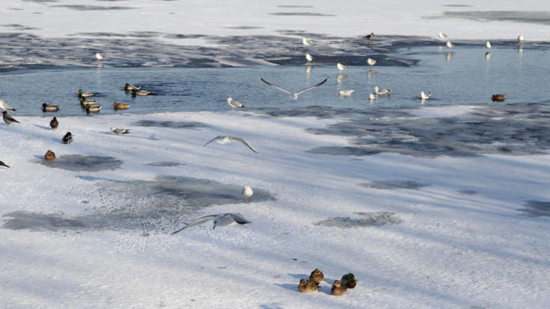 Неожиданные погодные сюрпризы ожидают казахстанцев в конце ноября Астане
