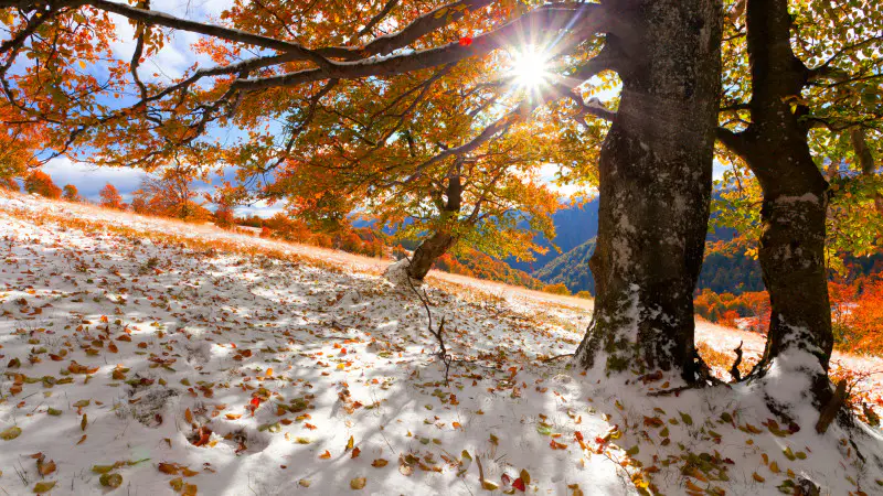 Погода в ноябре: снег и потепление до +25 в Казахстане по прогнозу Казгидромета Астане