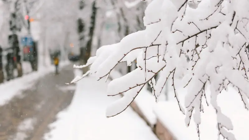 Астана: снегопад, Алматы: тепло – прогноз погоды на 19-21 ноября Астане