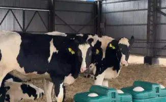 Significant Investment in Agricultural Support in Aktobe Region: 15 Billion Tenge Allocated for 2025