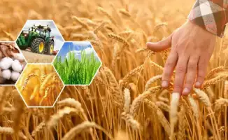 Рост сельского хозяйства в Актюбинской области: положительная динамика способствует экономическому развитию