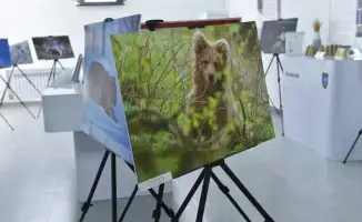 Институт сохранения биоразнообразия в КазНУ для защиты природы и адаптации к климатическим изменениям