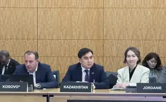 Казахстан делится опытом антикоррупционных реформ на платформе ОЭСР