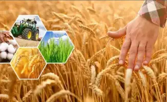 Сельхозпродукции на 296,8 млрд тенге произведено в Актюбинской области