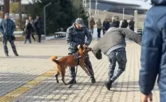 Собака-полицейский демонстрирует навыки на встрече с студентами в Жетысу