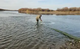 Международные усилия по восстановлению экосистемы: зарыбление реки Селеты в Акмолинской области