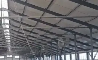 Первая партия племенных телок из Дании прибыла в Павлодарскую область для создания молочно-товарной фермы