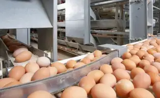 Куриные яйца задержаны на посту Сырым