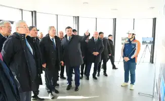 Ветераны сажают деревья: природа ждет обновления!