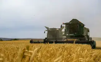 В Жетісу объем переработки производимой в регионе продукции достиг 68%