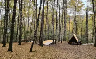 Алматы принимает рекордное количество туристов
