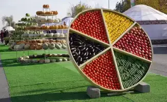 Праздник Золотая осень 2025 и День работников сельского хозяйства в Ордабасынском районе