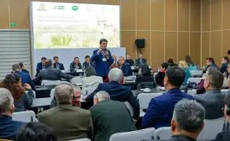 Устойчивое использование сайгака и агропромышленность в Самарканде