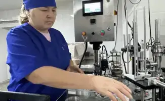 Рост сельхозпроизводства в Коксуском районе: новые возможности для экономики и создания рабочих мест