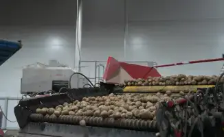 Лук и картофель: герои 2025 года в Казахстане!