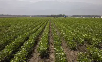 В Алматинской области обсудили дефицит бюджетных средств в финансировании сельского хозяйства